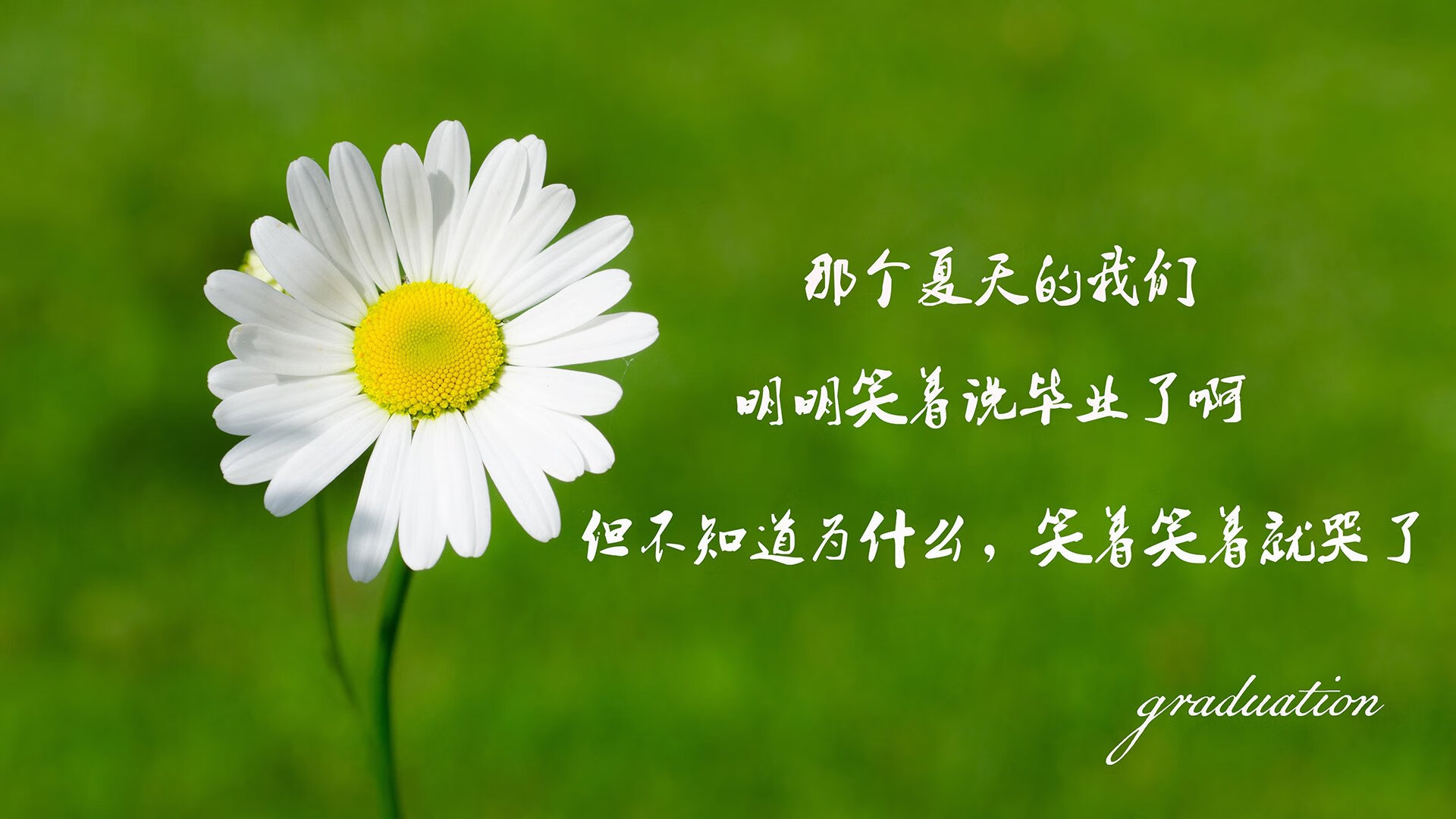 青少年轮滑运动培训安全规范建设建议，轮滑培训目的