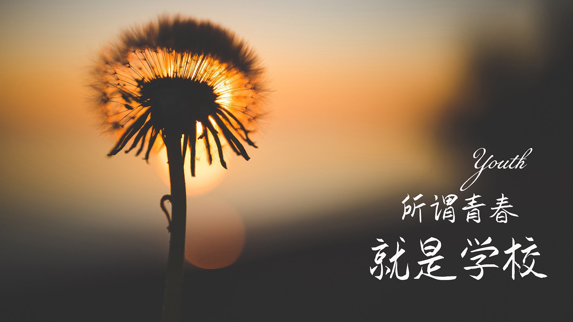 开云电子竞技-“在高新区全民健身馆，壁球场上没有‘慢’字，只有‘快’与‘准’！”