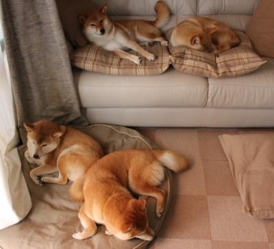 体育新闻中心承办全国体育新闻融合传播实训营，中国体育科学学会体育新闻传播分会