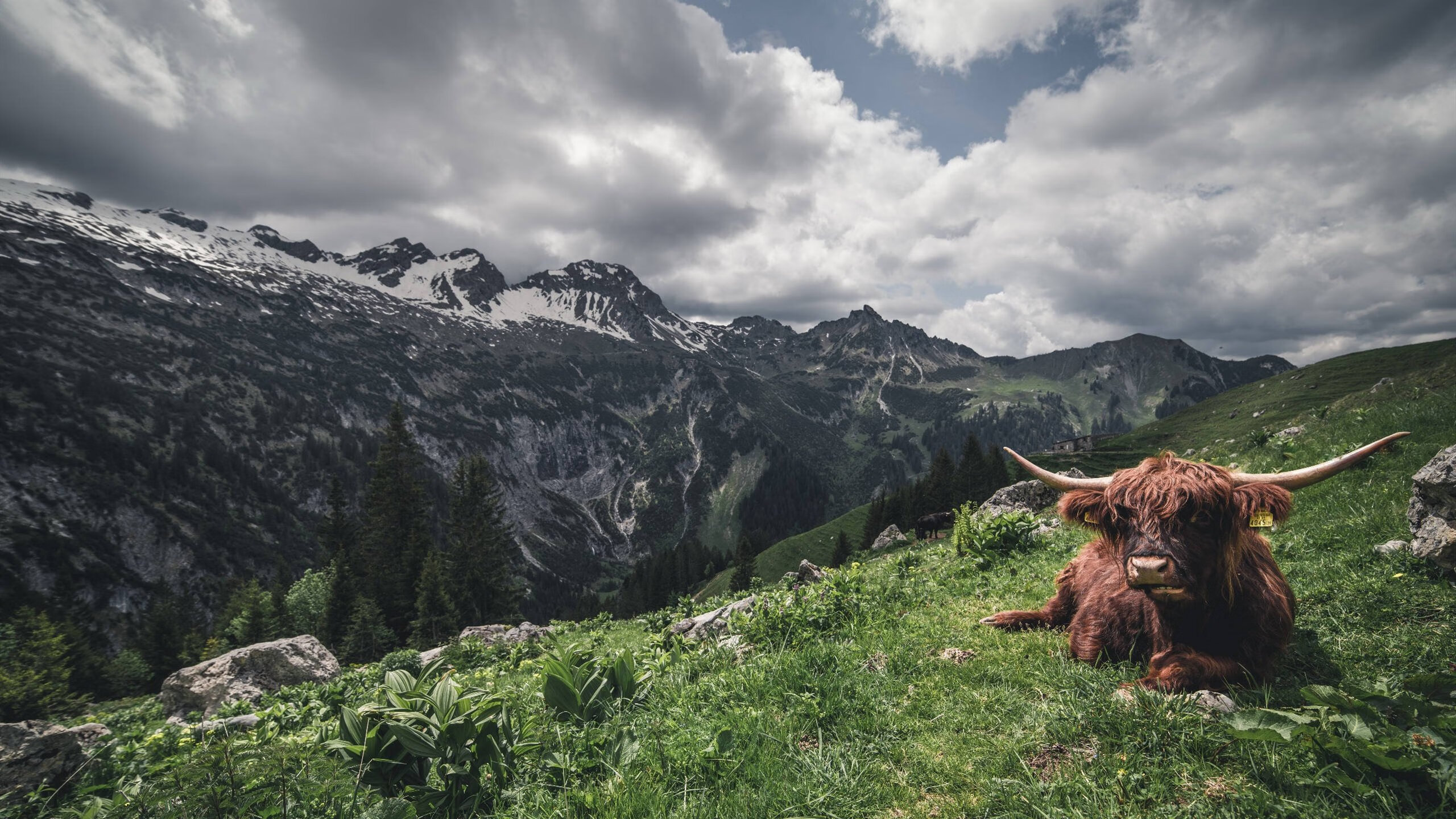 开云中国官网-国家田径协会通报青少年速度训练数据采集成果，青少年田径运动技能等级标准与测试方法