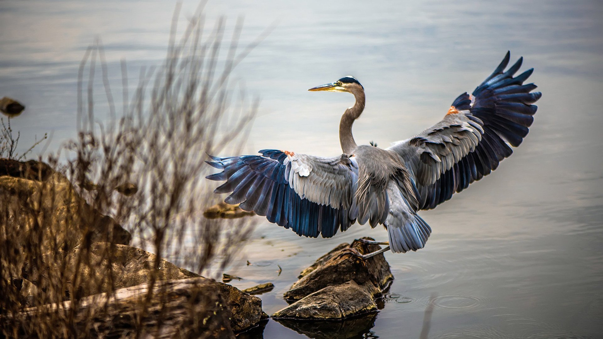 kaiyun登录入口-塞维利亚豪取连胜，争夺西甲前列
