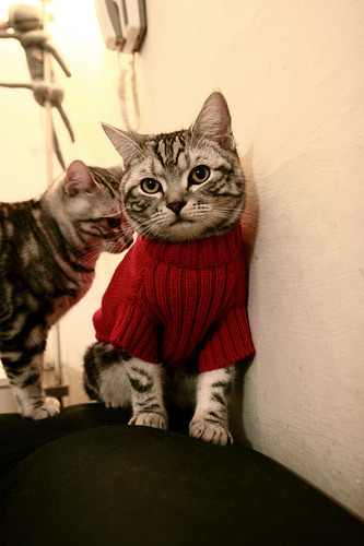 开云注册-字母哥强调防守篮板是比赛基础，nba字母哥怕谁防守